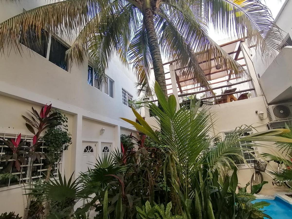 פלאייה דל כרמן Kika Studios מראה חיצוני תמונה