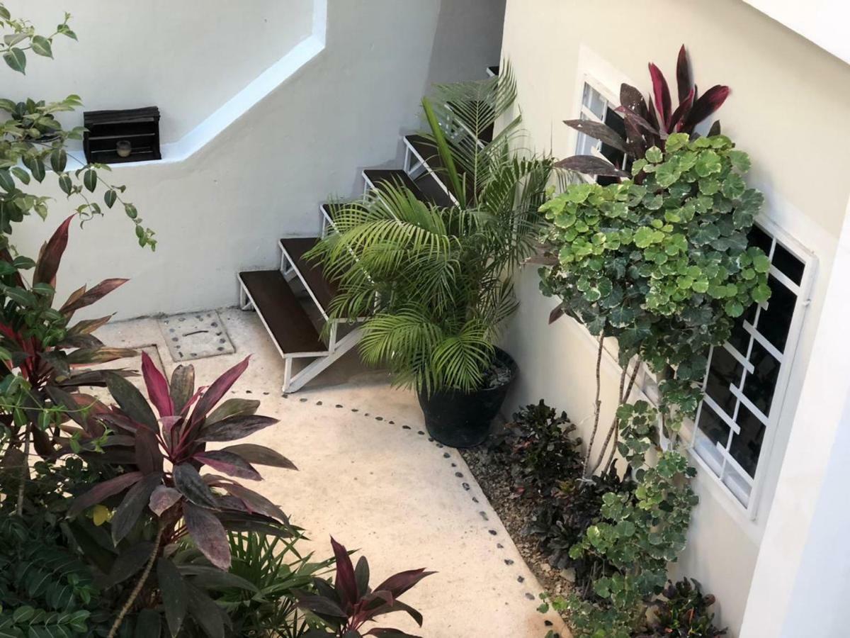פלאייה דל כרמן Kika Studios מראה חיצוני תמונה
